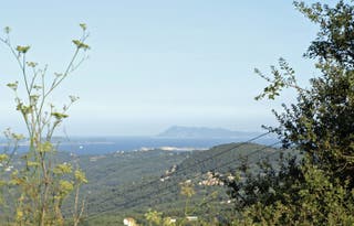 Αμερικανός βρέθηκε νεκρός σε ελληνικό νησί ενώ αναζητούσε άλλους Αμερικανός βρέθηκε νεκρός σε ελληνικό νησί ενώ αναζητούσε άλλους